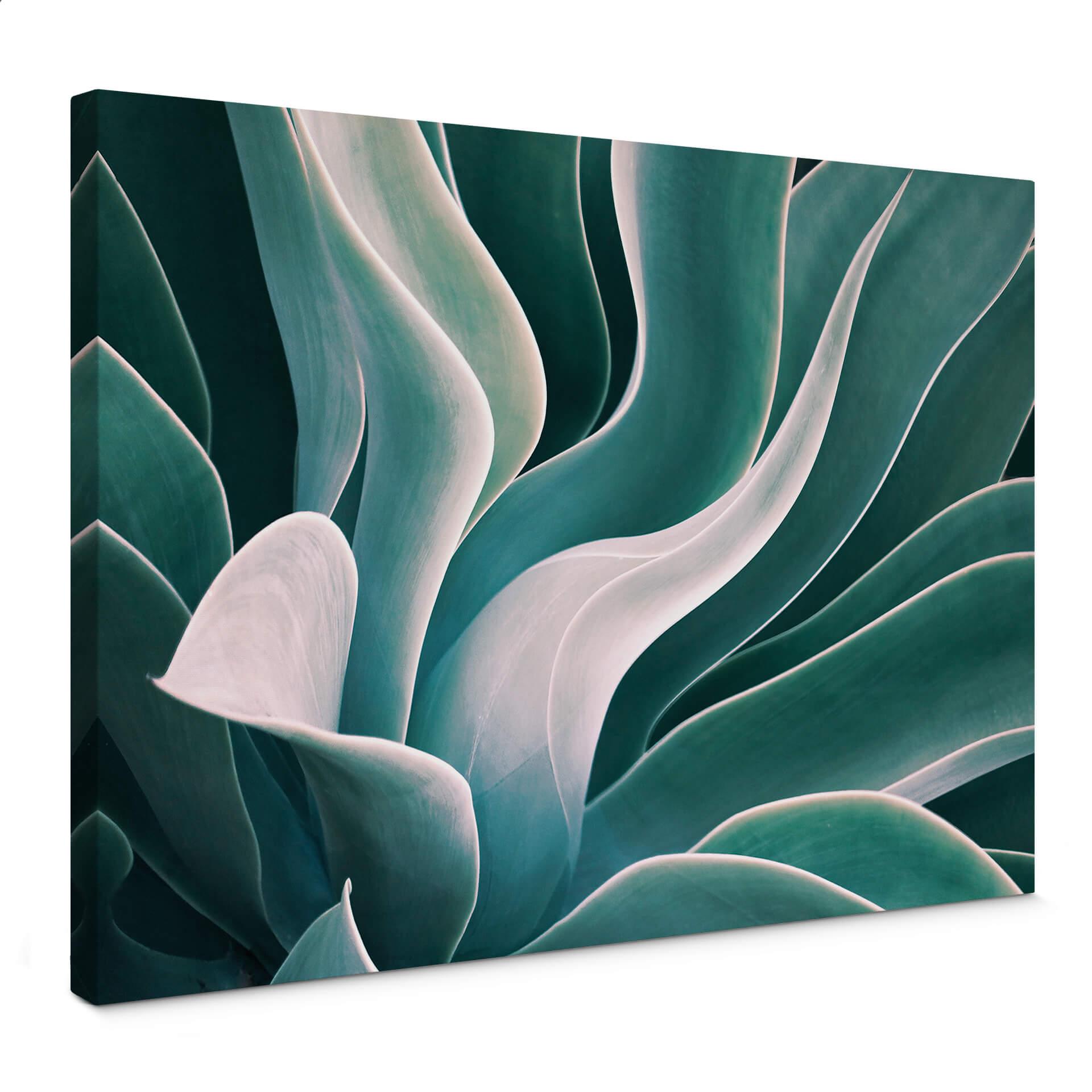 Lienzo Wechsler - Agave a la luz de la mañana
