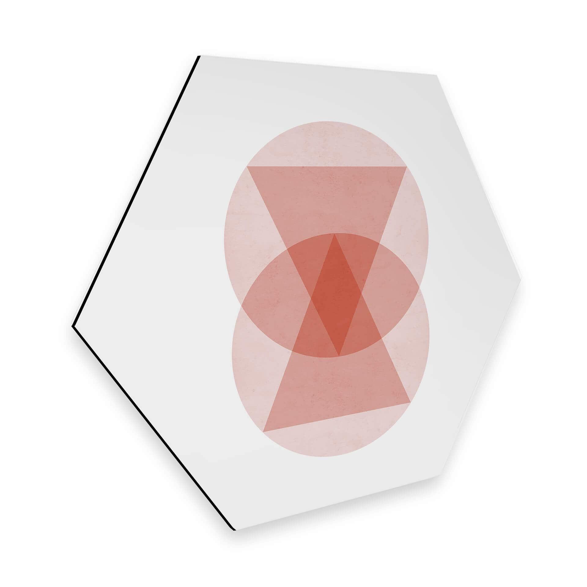 Hexagon Dibond Nouveauprints - Circles and Triangles