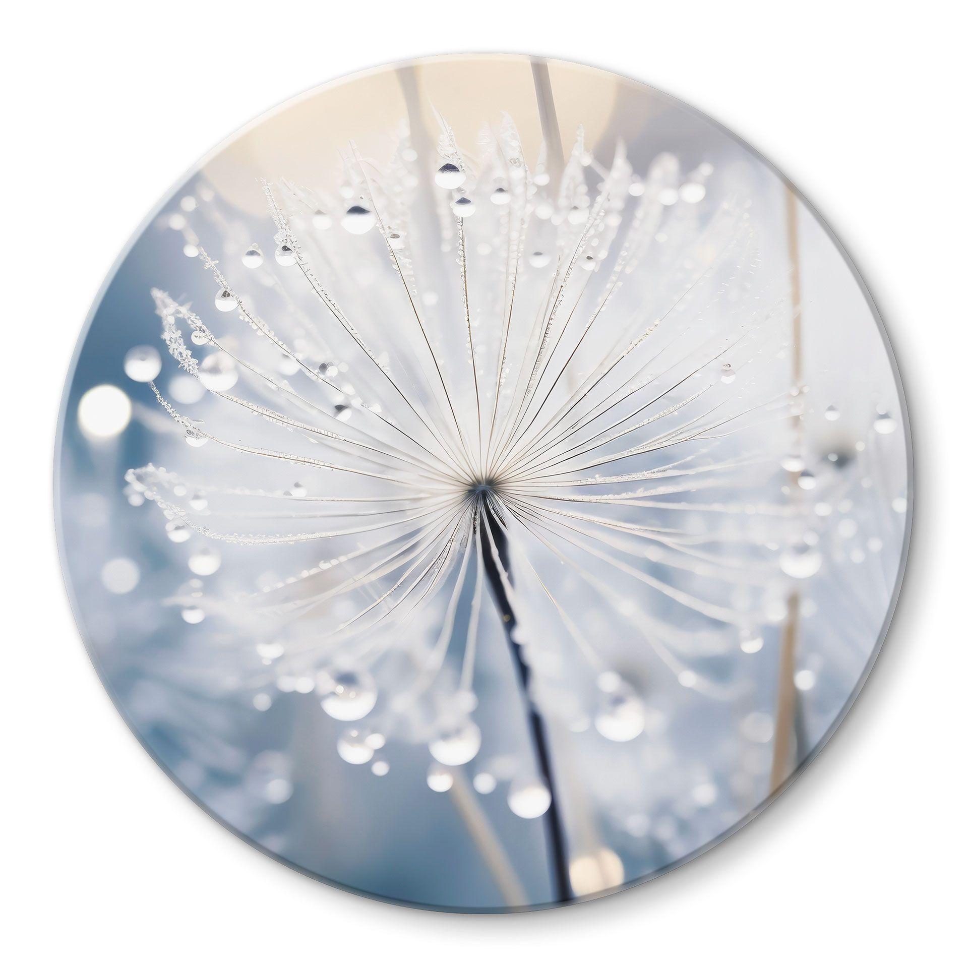 Glasbillede - Sparkling Dandelions - Treechild - Rund