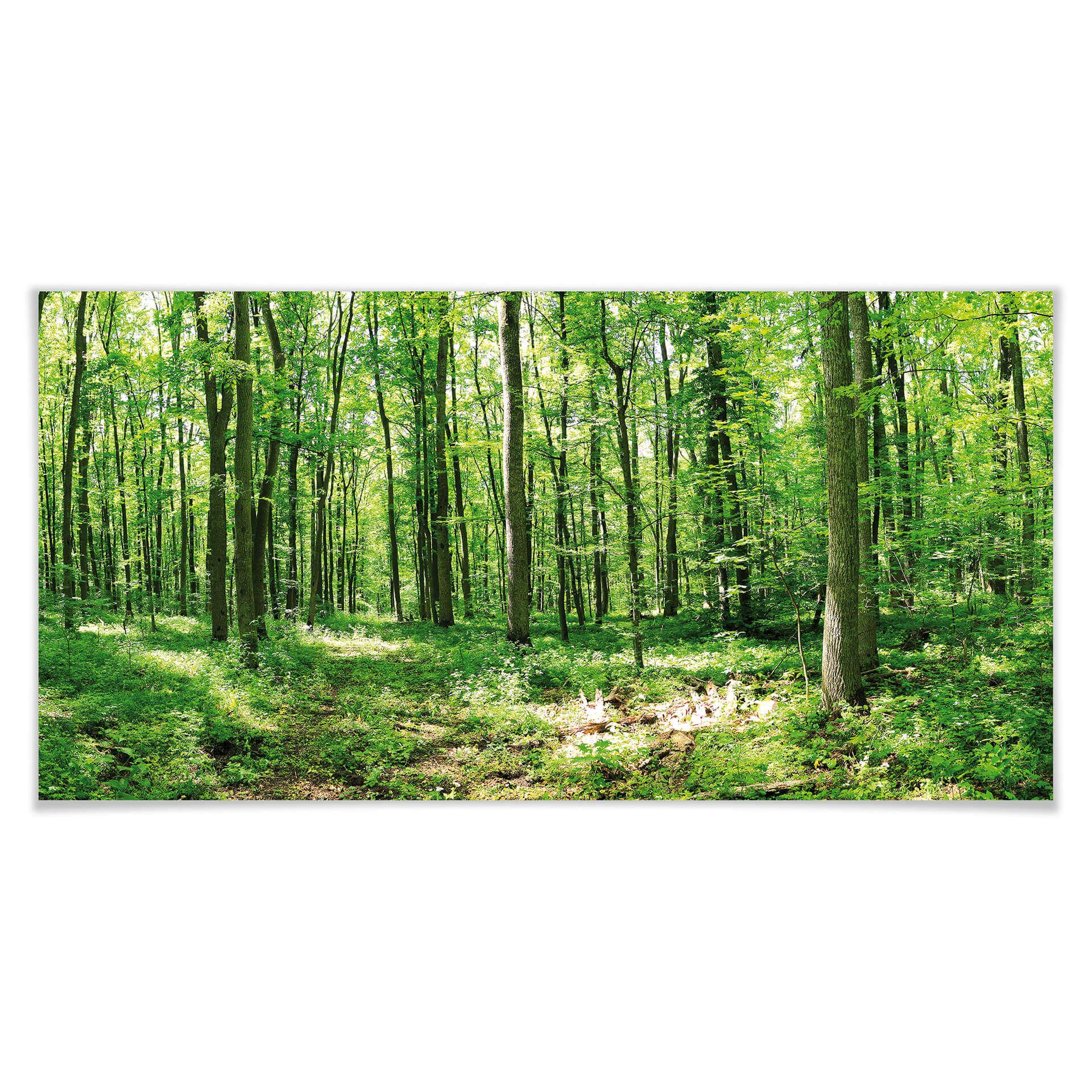 Póster panorama forestal 02