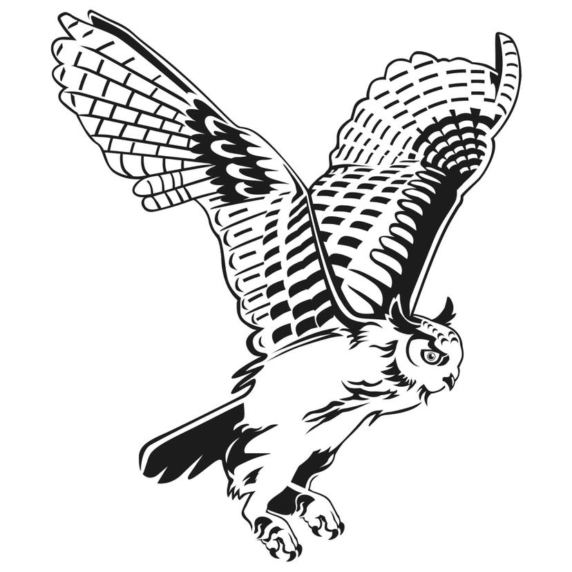 Gufo reale in volo