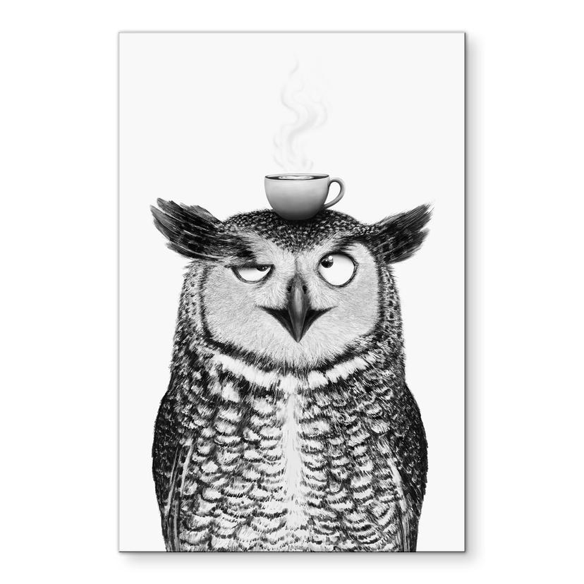 Tableaux Hibou amusant avec café - Korenkova - Alu-Dibond
