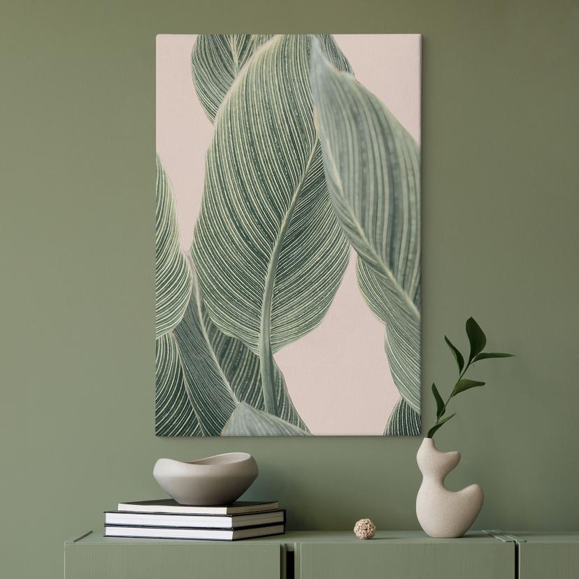 Stampa su tela Pianta di calathea - Sisi & Seb
