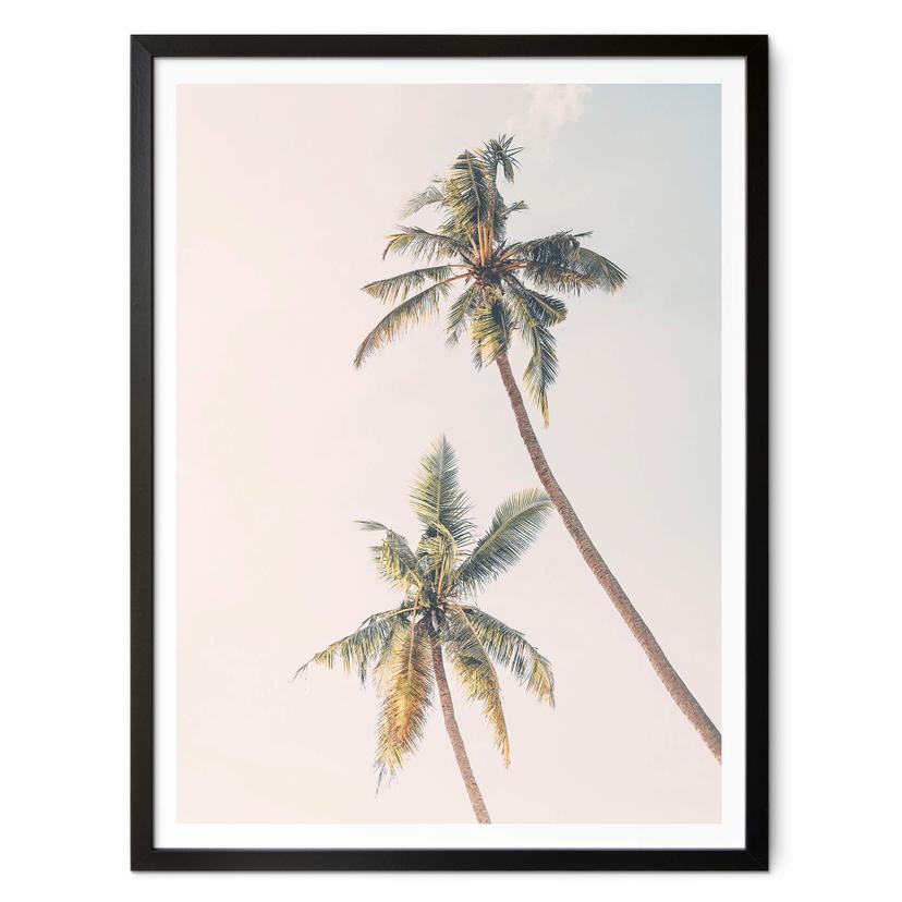 Póster Sisi & Seb - Palmeras al viento