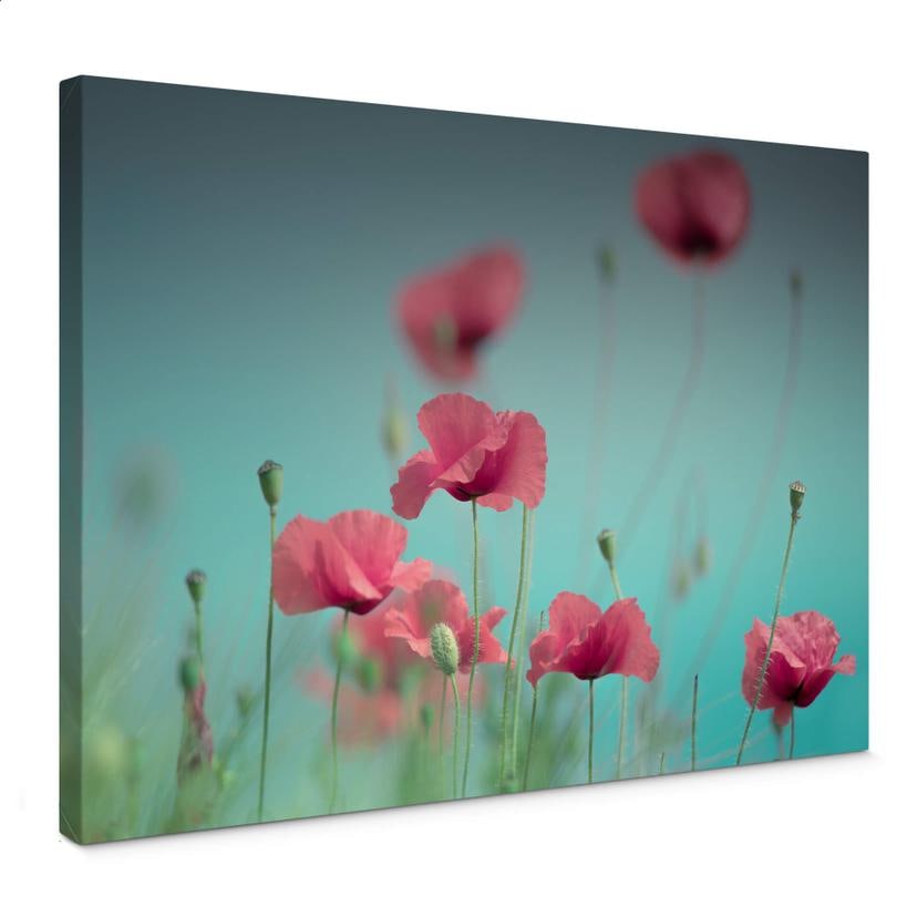Tableau en toile Delgado - Pastel de coquelicots