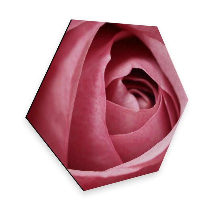 Hexagon alu-dibond - Pink Rose