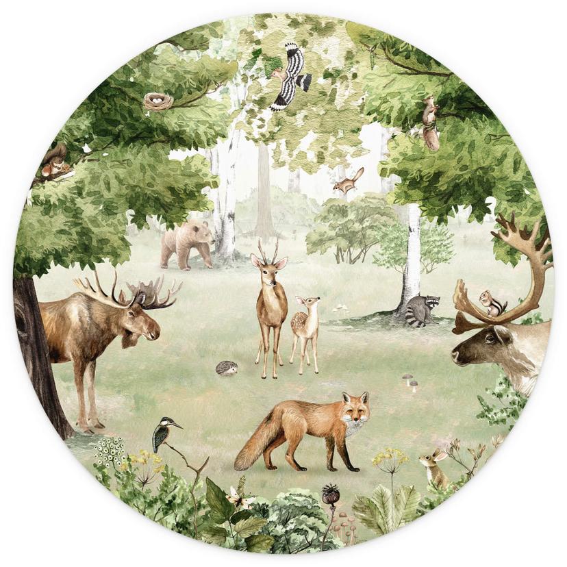 Fotomurale tondo Kikki Belle - Miracolo nella foresta - carta da parati in tessuto non tessuto/carta