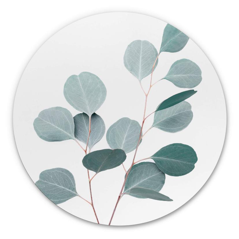 Tableau en alu-Dibond Sisi & Seb - Eucalyptus bleu - Rond