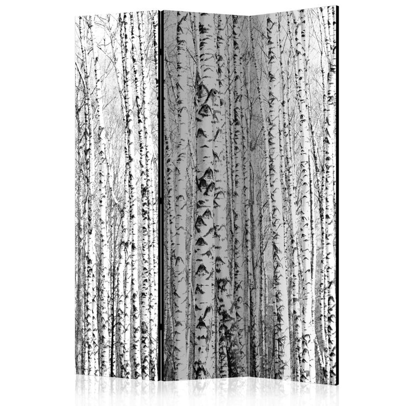 Screen room divider - Birch forest, 3-delt - 135x172 cm