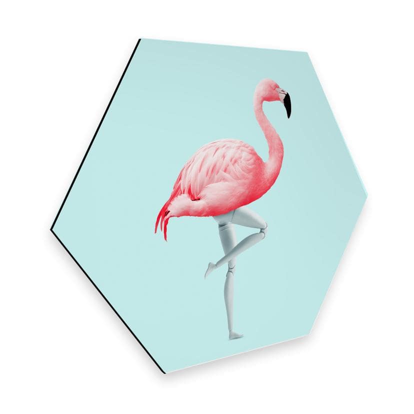 Hexagone - Alu-Dibond Loose -Mannequin flamant rose