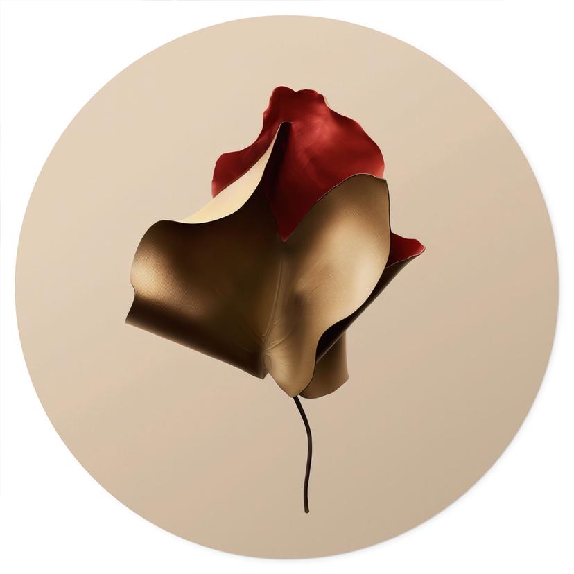 Adesivo murale Elegante foglia in oro e rosso - Alma - Rotondo