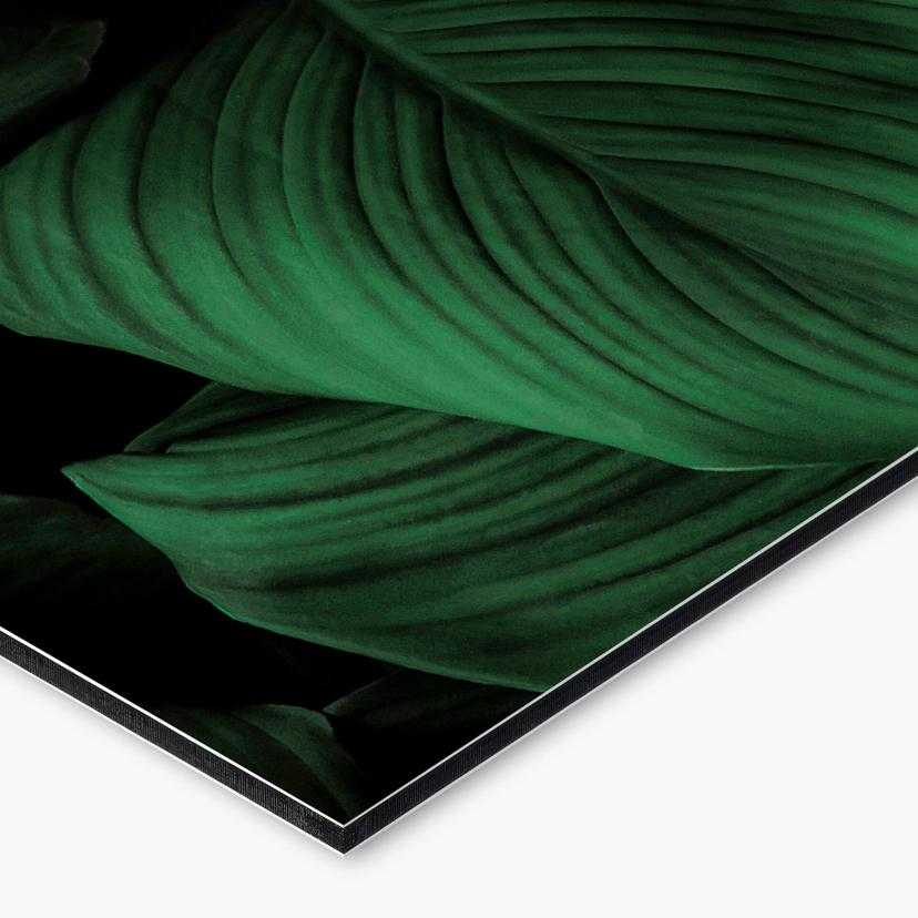 Keukenachterwand Tropical Lilly