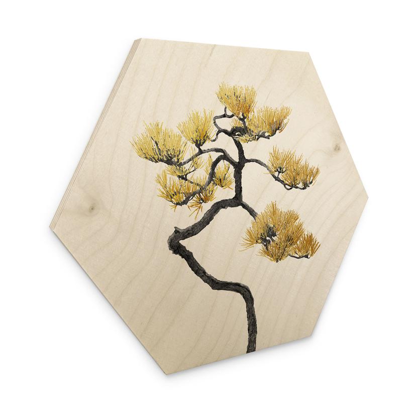 Sekskantet træ Bonsai i balance - Amini