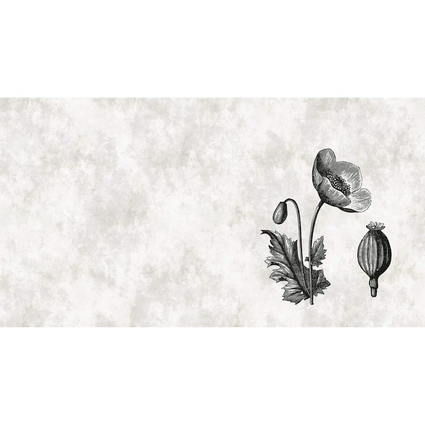 Fotomural Paredes de Patel sketchpad 6