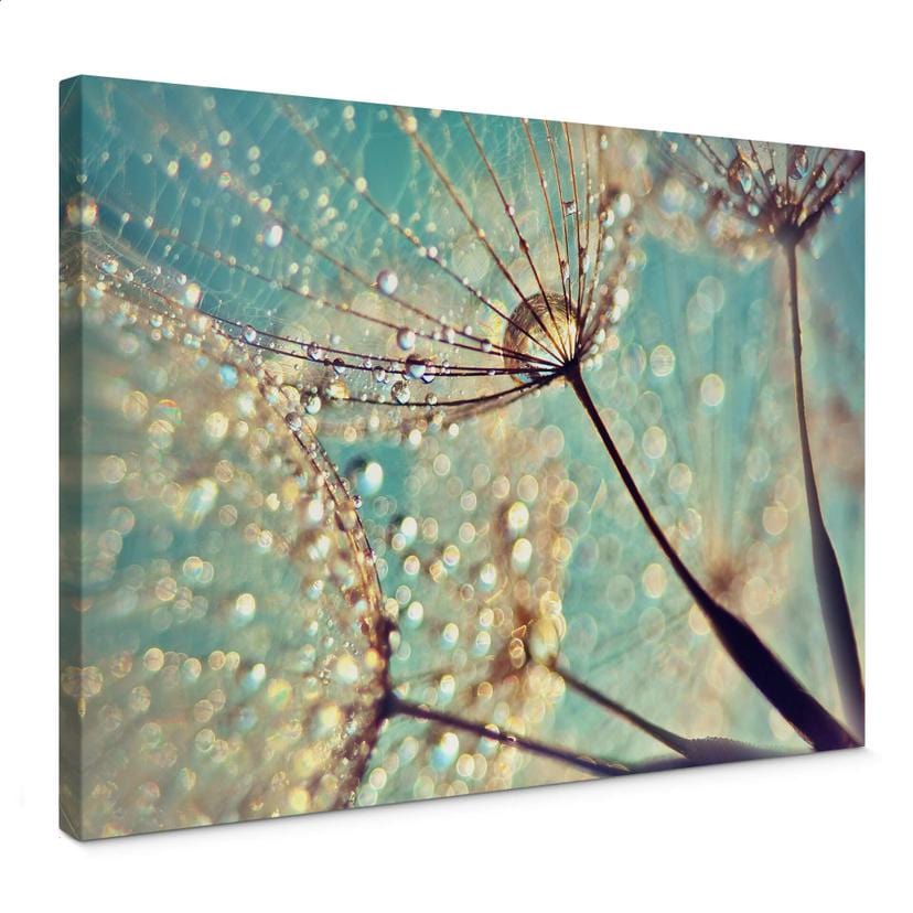 Tableau en toile Delgado - Pissenlit magique