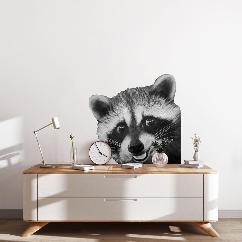 Wandtattoo Racoon - Graves