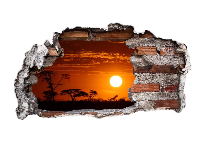 Adesivo 3D - Tramonto africano