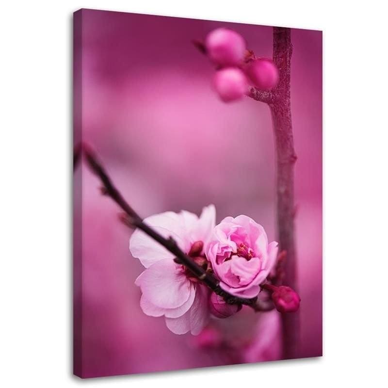 Tableau sur toile, Plantes à fleurs roses