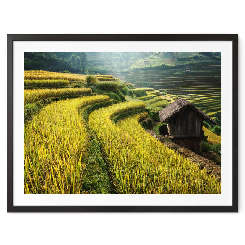 Póster Intarob - Arrozales en Vietnam