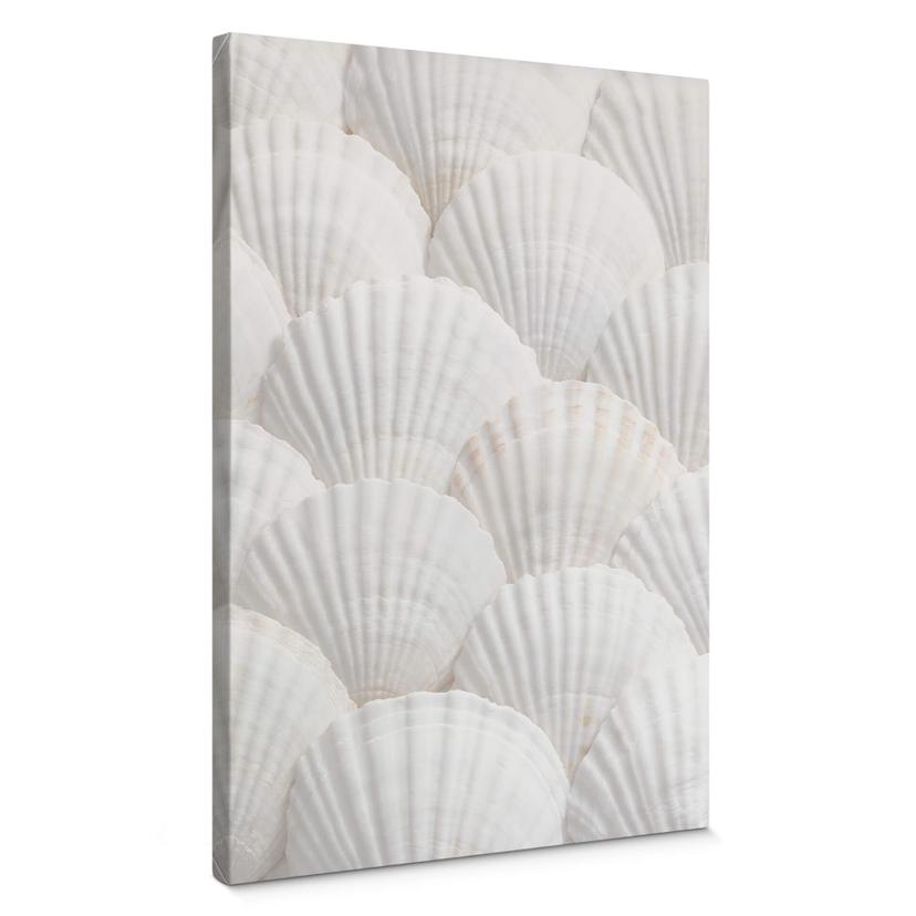 Lienzo 1X Estudio - Conjunto Shell