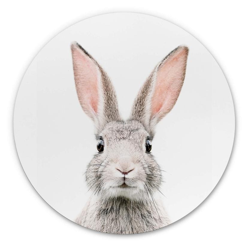 Tableau sur alu-Dibond rond Sisi & Seb - Oreilles de lapin