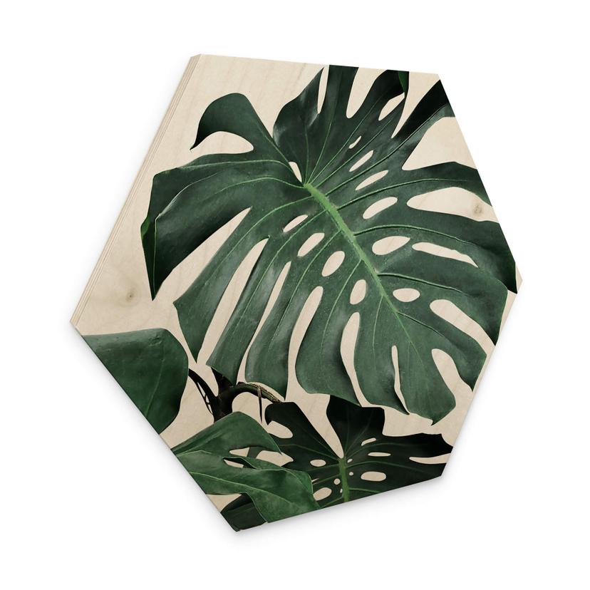 Hexagon Hout Sisi & Seb - Monstera