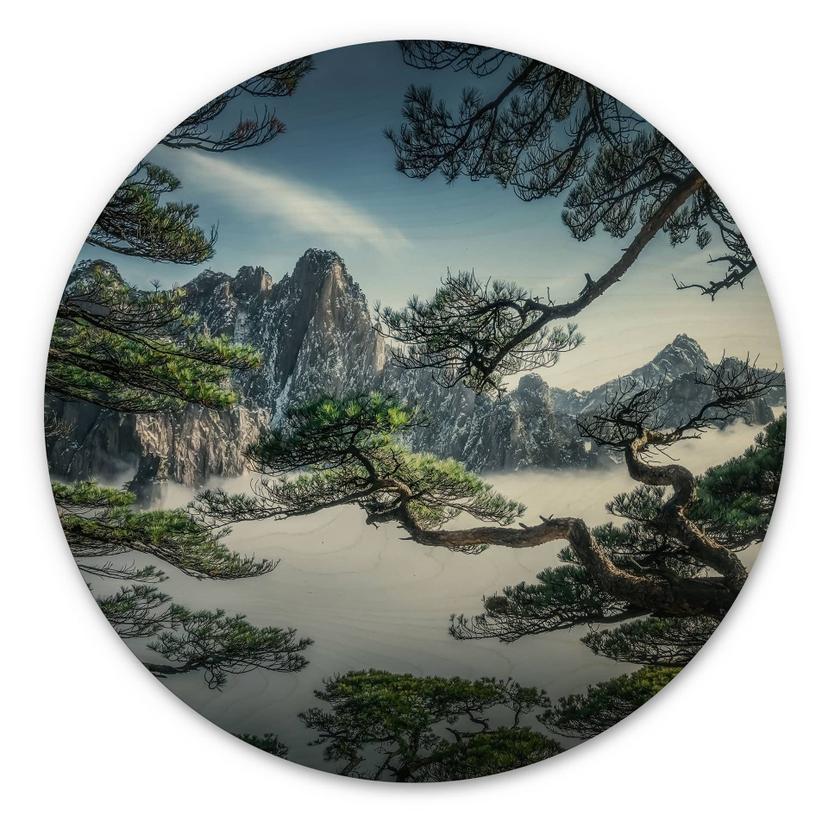 Træbillede Fyrreskov i Huang Shan-bjergene - NingYun Ye - Round