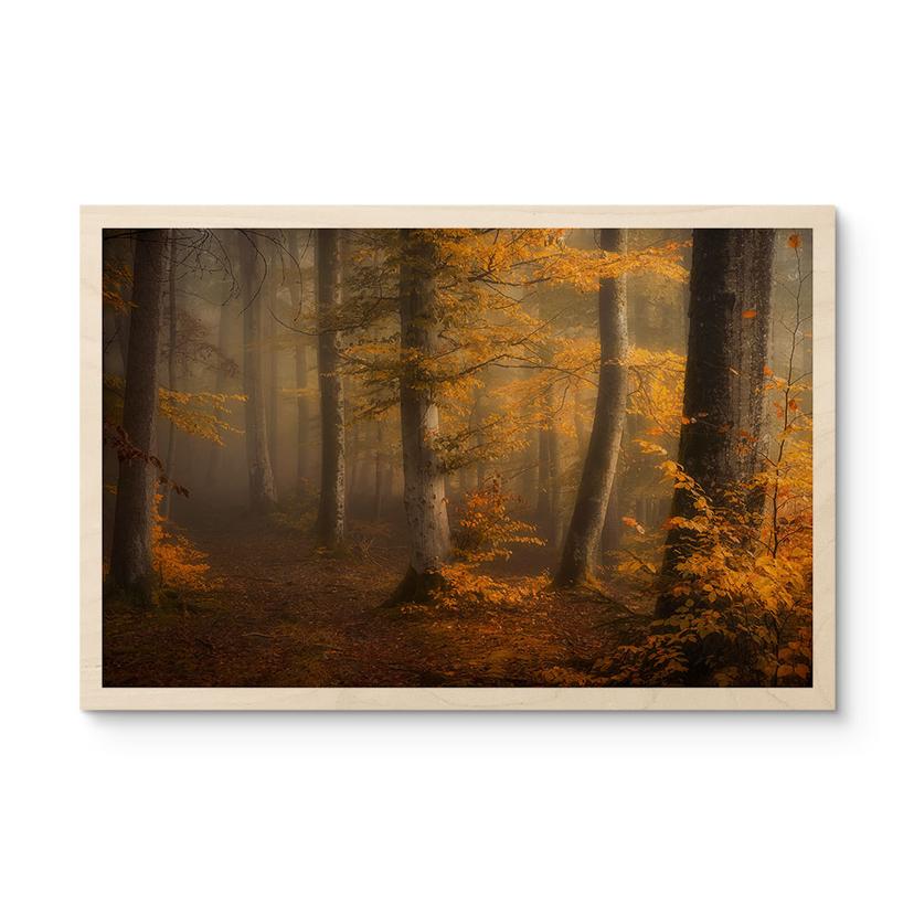 Cuadro de madera Hojas doradas en un bosque brumoso - Maier