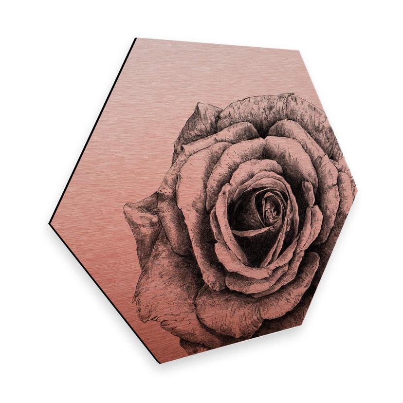 Hexagon - Alu-Dibond med kobbereffekt - Kools - Rose