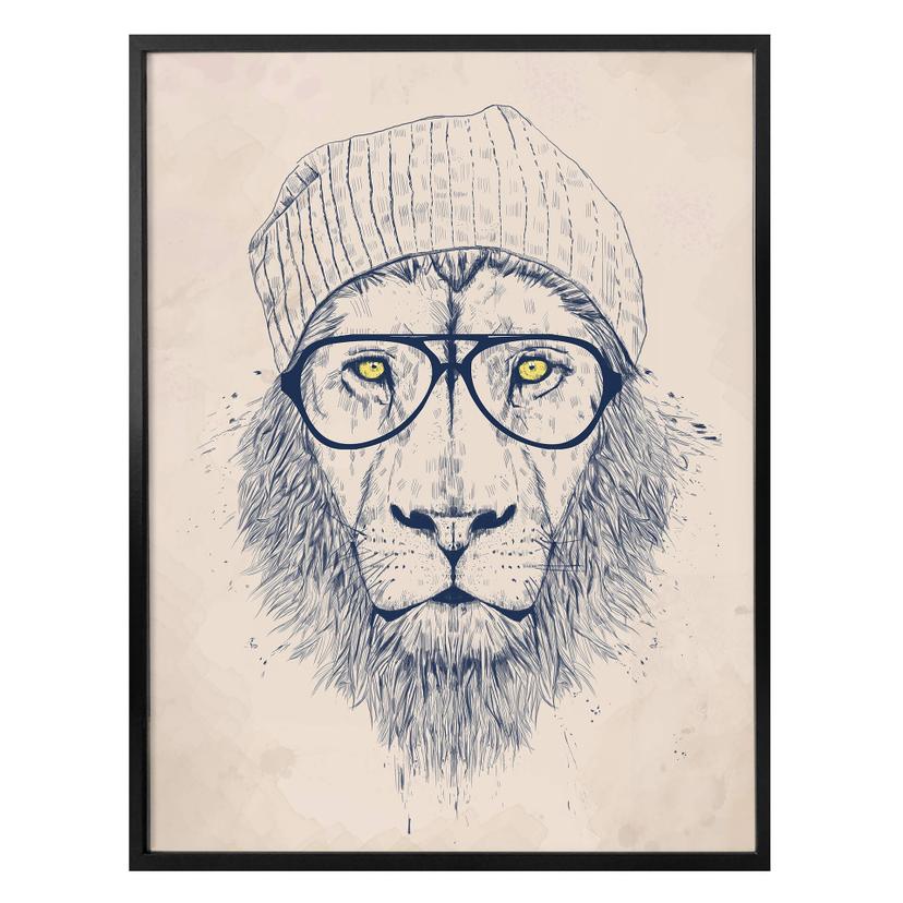 Poster Solti - Lion cool