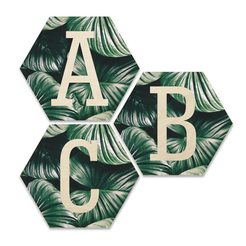 Hexagon bogstaver - Birketræ - Jungle