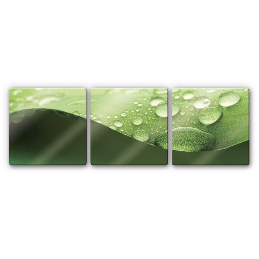Tableau en verre - Nature 3 (triptyque)
