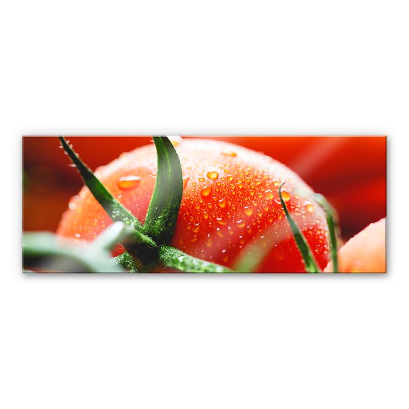 Tableau en verre acrylique - Fresh Tomato - Panorama