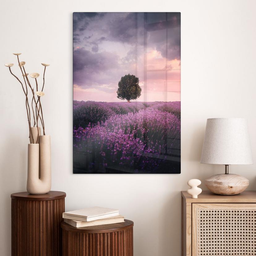 Stampa su vetro Campi di lavanda viola al tramonto - Cevik