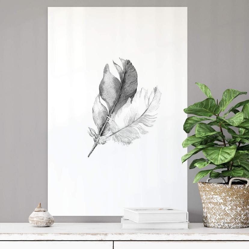 Wallprint - Piume