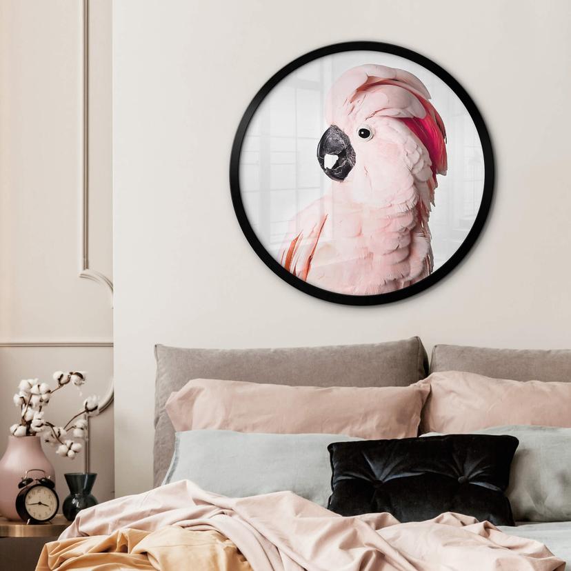 Poster Sisi & Seb - Pink Cockatoo