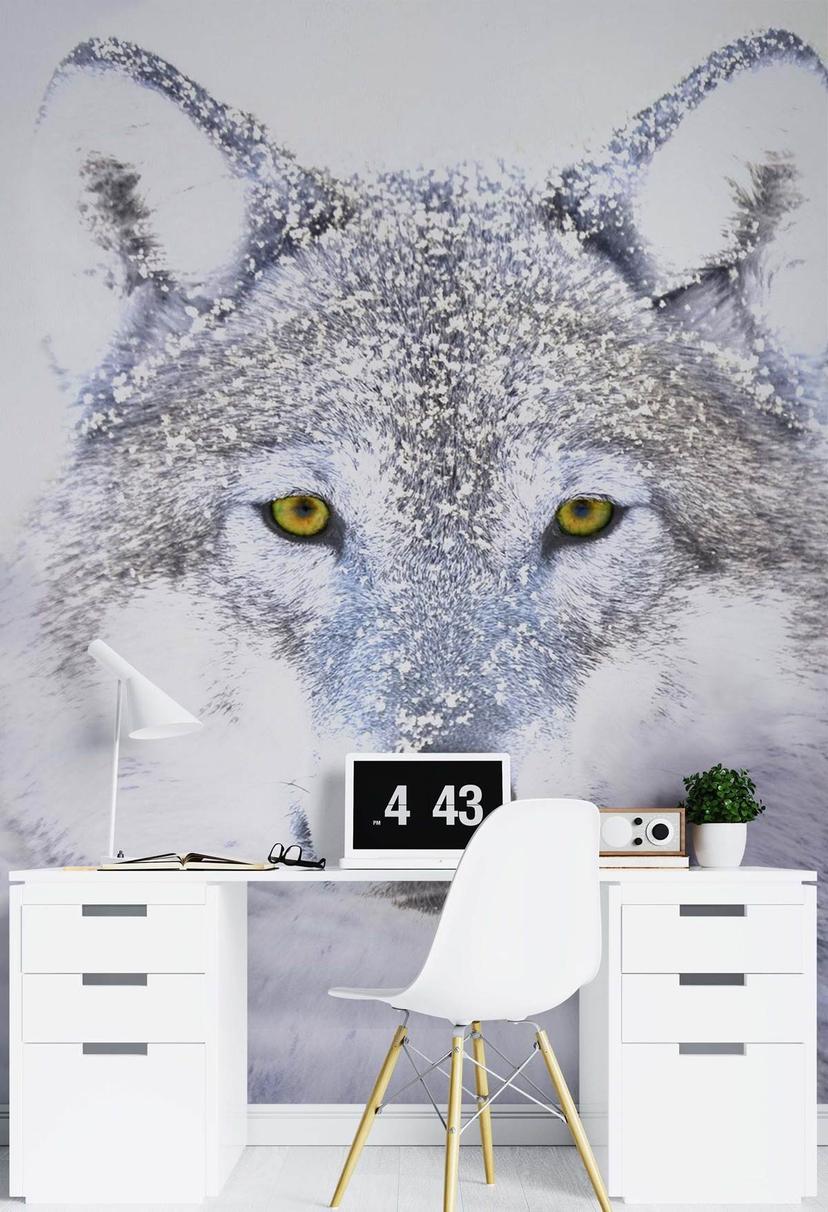 Fototapete, Porträt Wolfes im Winter
