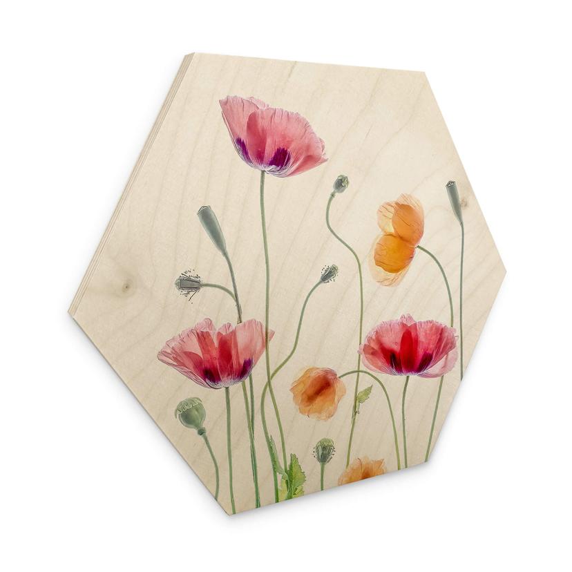 Sekskantet træ Disher - Colourful Poppies