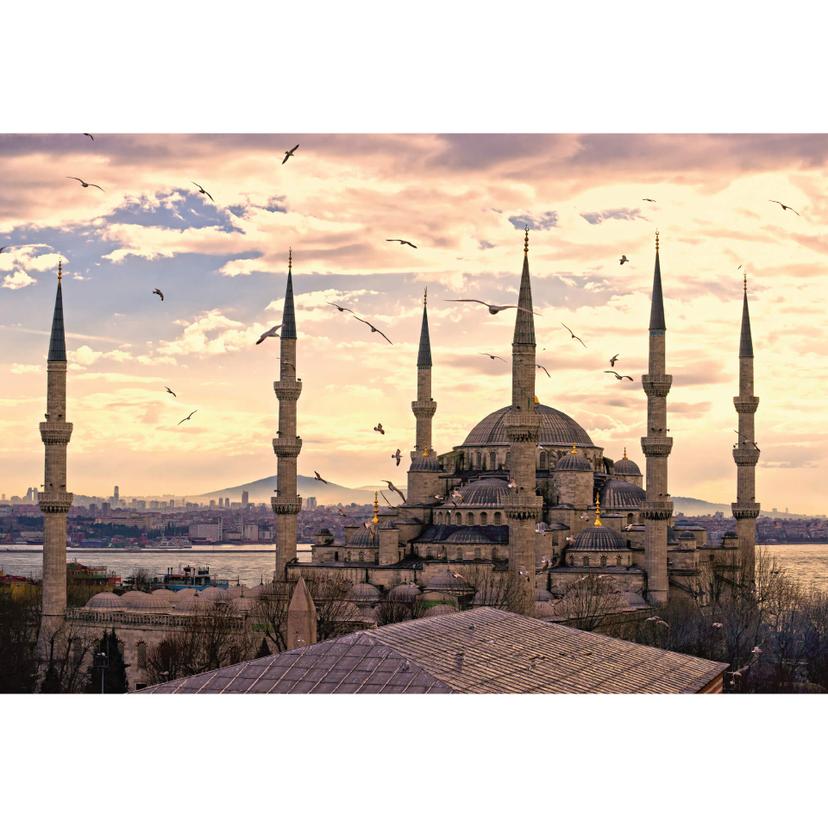 Fotomurale Moschea Blu