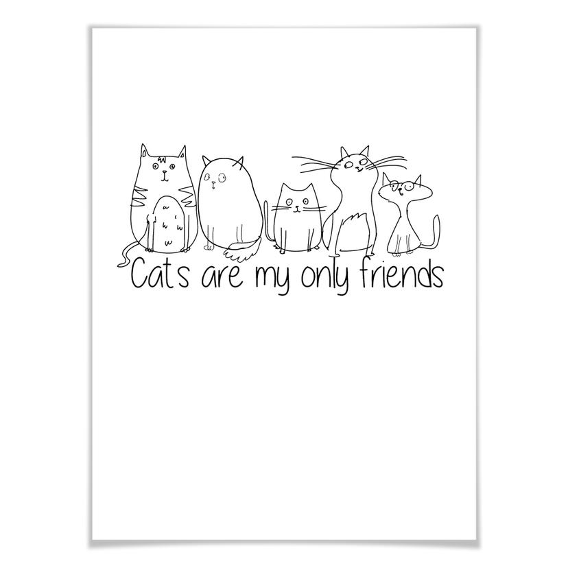 Poster - Cats are my only friends