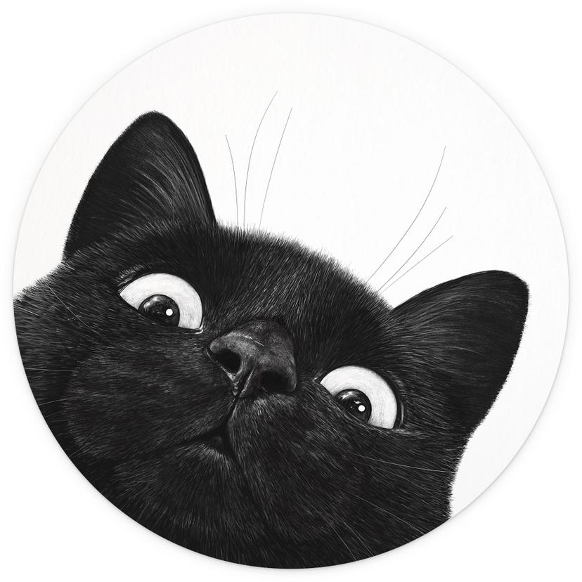 Fototapete Lustige schwarze Katze - Korenkova - Rund