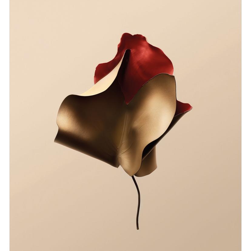 Fotomurale elegante in oro e rosso - Alma