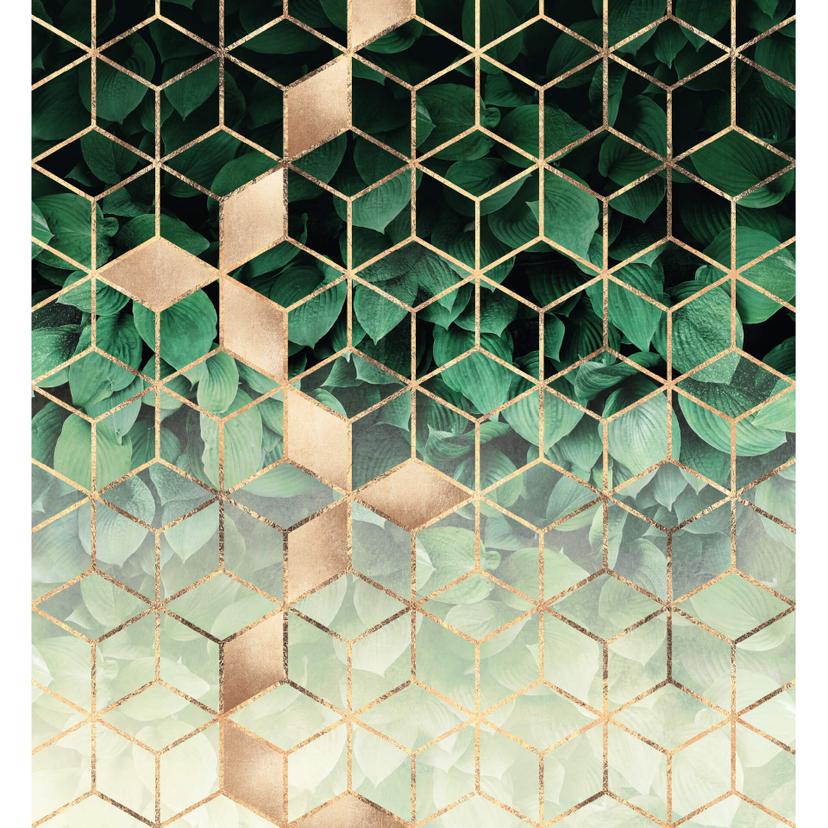 Fotomurale Fredriksson - geometrie naturali
