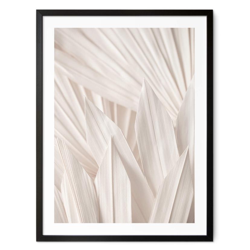Póster 1X Studio - Hojas de palmera brillantes