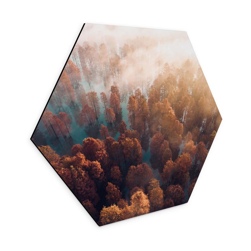 Hexagon Dibond Efterårsskov i tåge - Ioricon