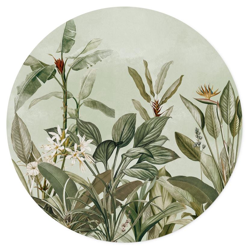 Muursticker Tropische plantkunde - UN Designs