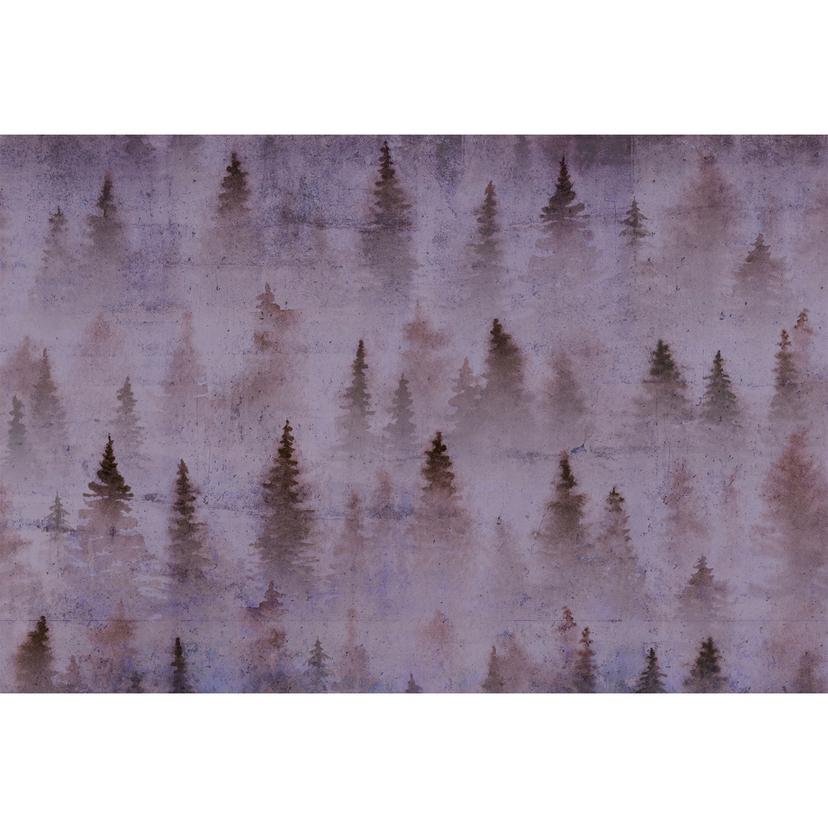 Architects Paper Papier peint photo Atelier 47 Coniferous forêt