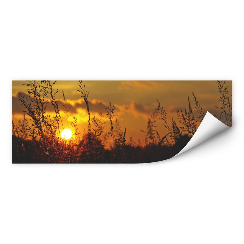 Zelfklevende Poster - Sunset