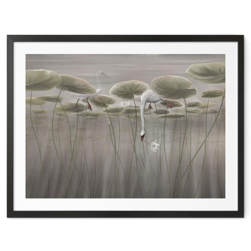 Poster Lotusblumen mit Schwan im Wasser in Grau - Ms Tiff