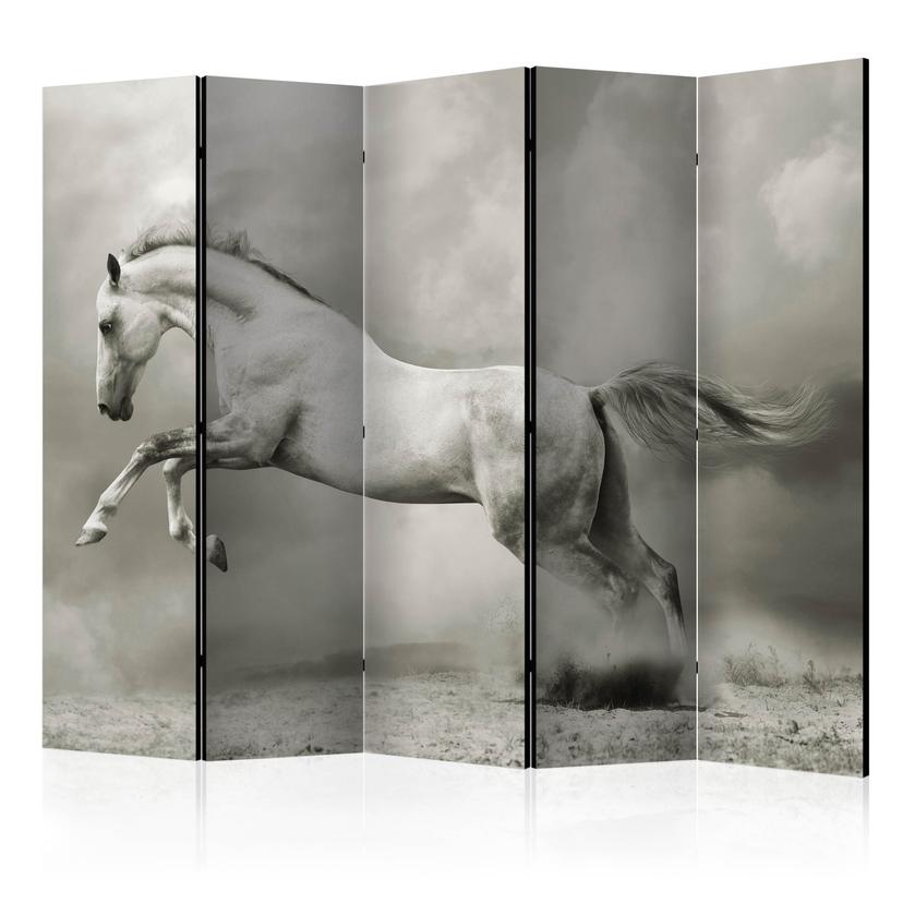 Skærm til rumdeling - Vild hest , 5-delt - 225x172 cm